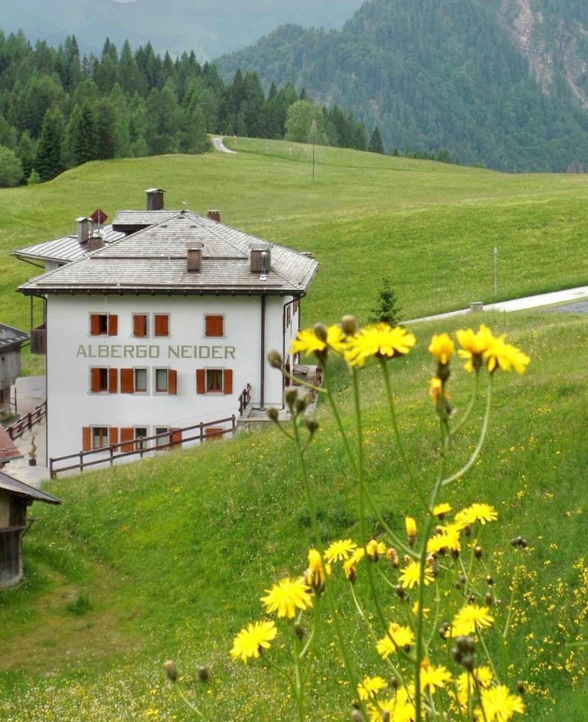 Neider Hotel - Alpine Retreat Sauris Exterior photo