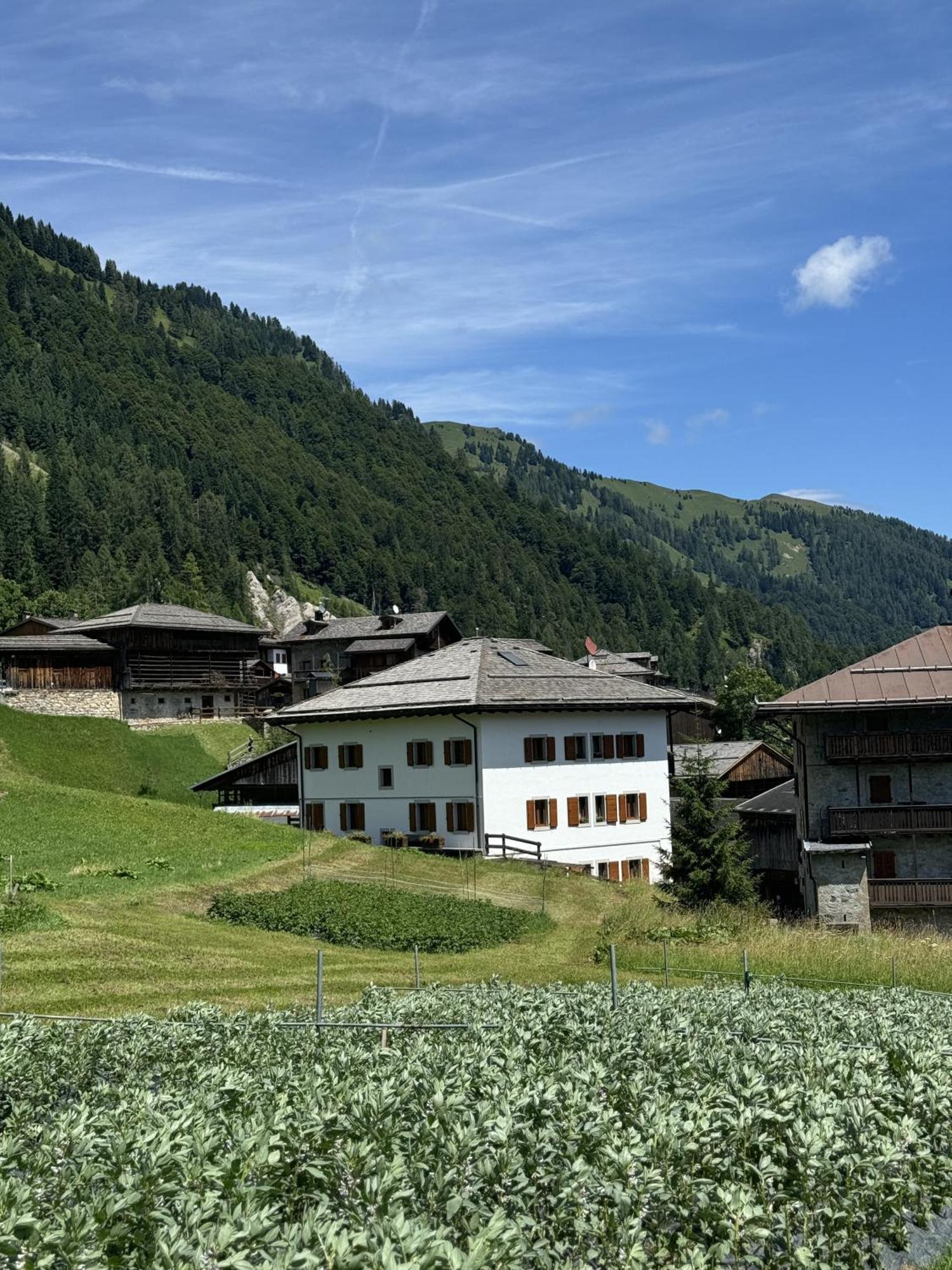 Neider Hotel - Alpine Retreat Sauris Exterior photo