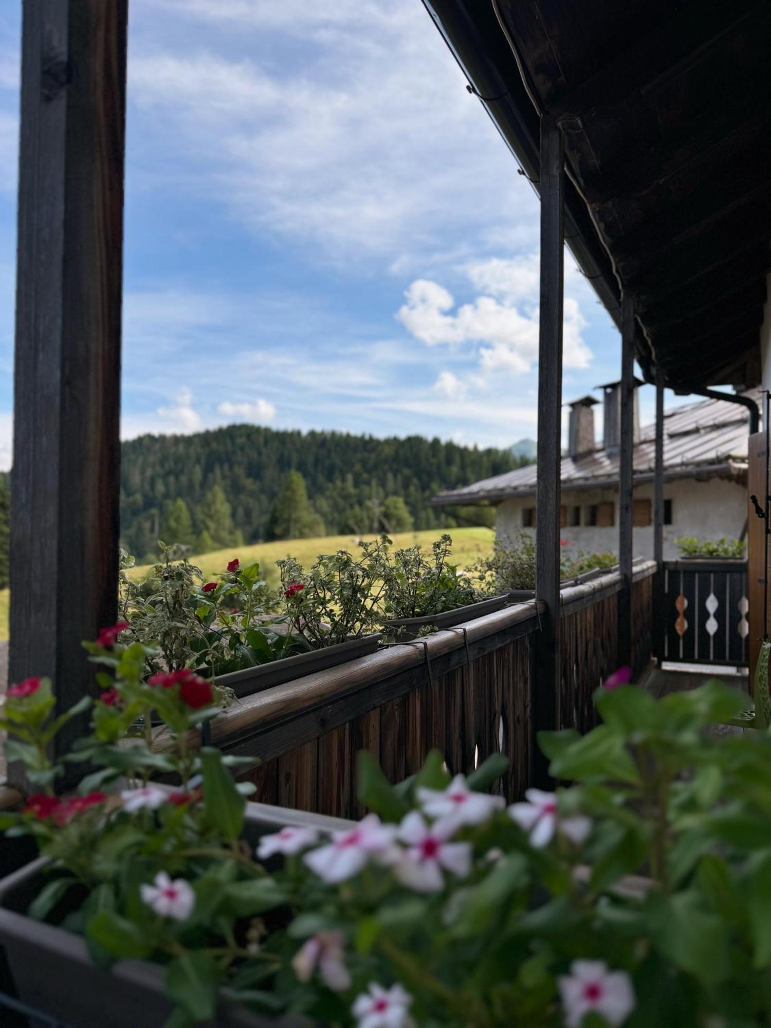 Neider Hotel - Alpine Retreat Sauris Exterior photo